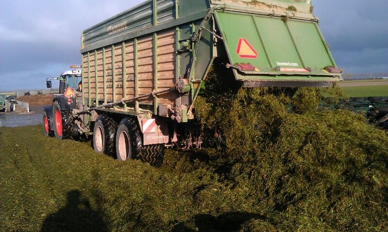Eind november; laatste gras inkuilen