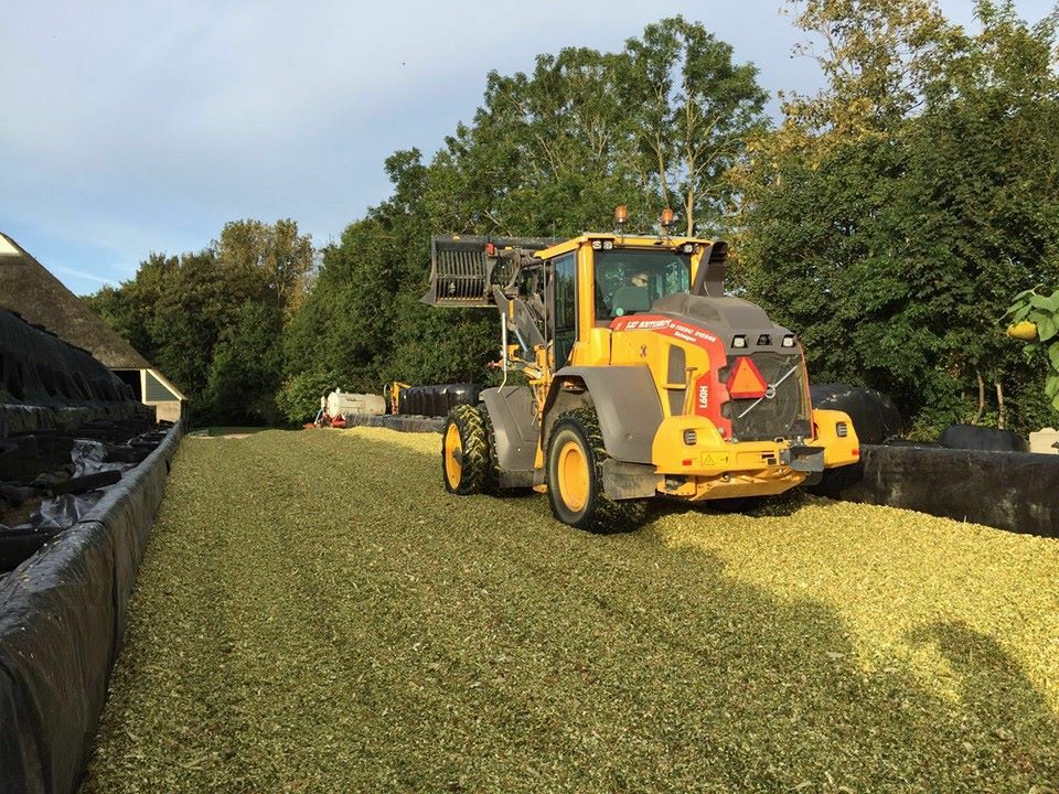 Maisoogst van start!