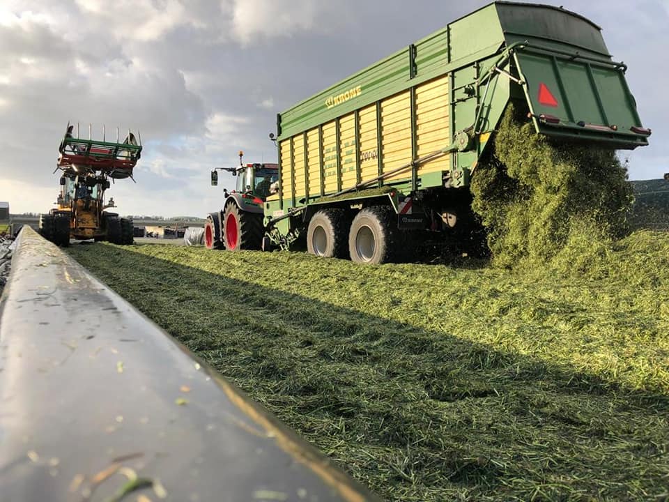Hakselen tussen de buien door!